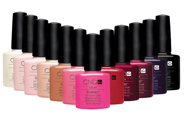 Курс Shellac